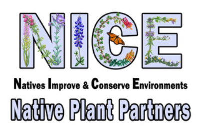 Native TX Plants