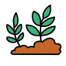 sprout-icon