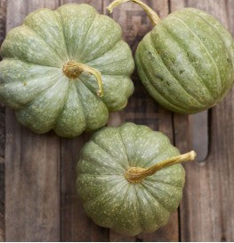 Squash