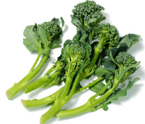 Broccoli