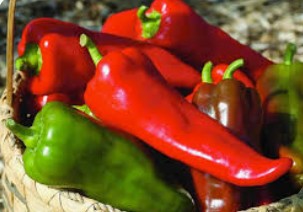 Pepper