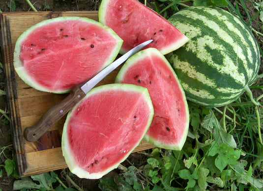 Watermelon