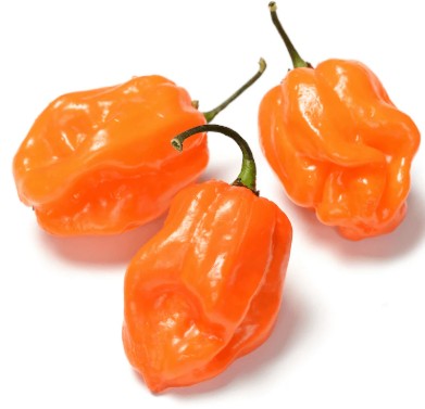 Pepper IN STOCK SOON