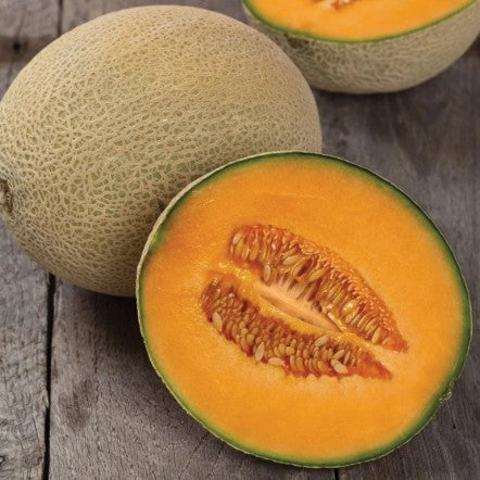 Cantaloupe