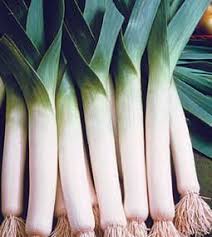 Leek