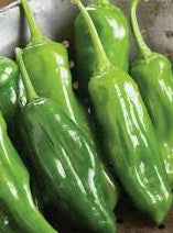 Pepper