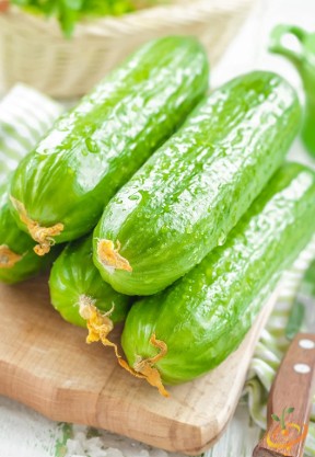 Cucumber