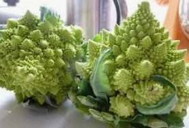 Broccoli