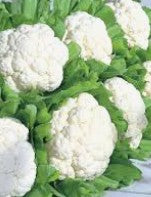 Cauliflower