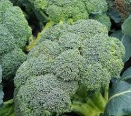 Broccoli
